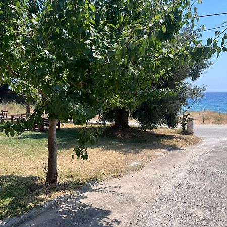 Stavros Apartments Νέα Σκιώνη Εξωτερικό φωτογραφία