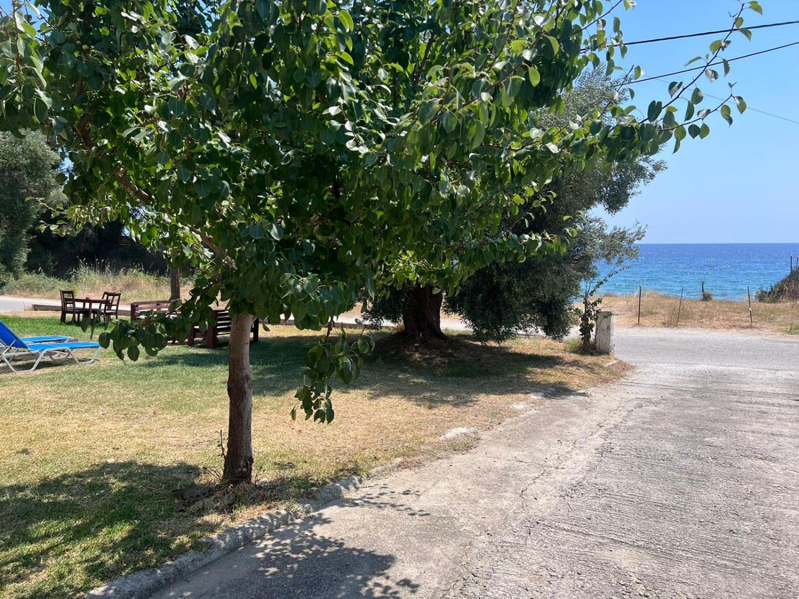 Stavros Apartments Νέα Σκιώνη Εξωτερικό φωτογραφία