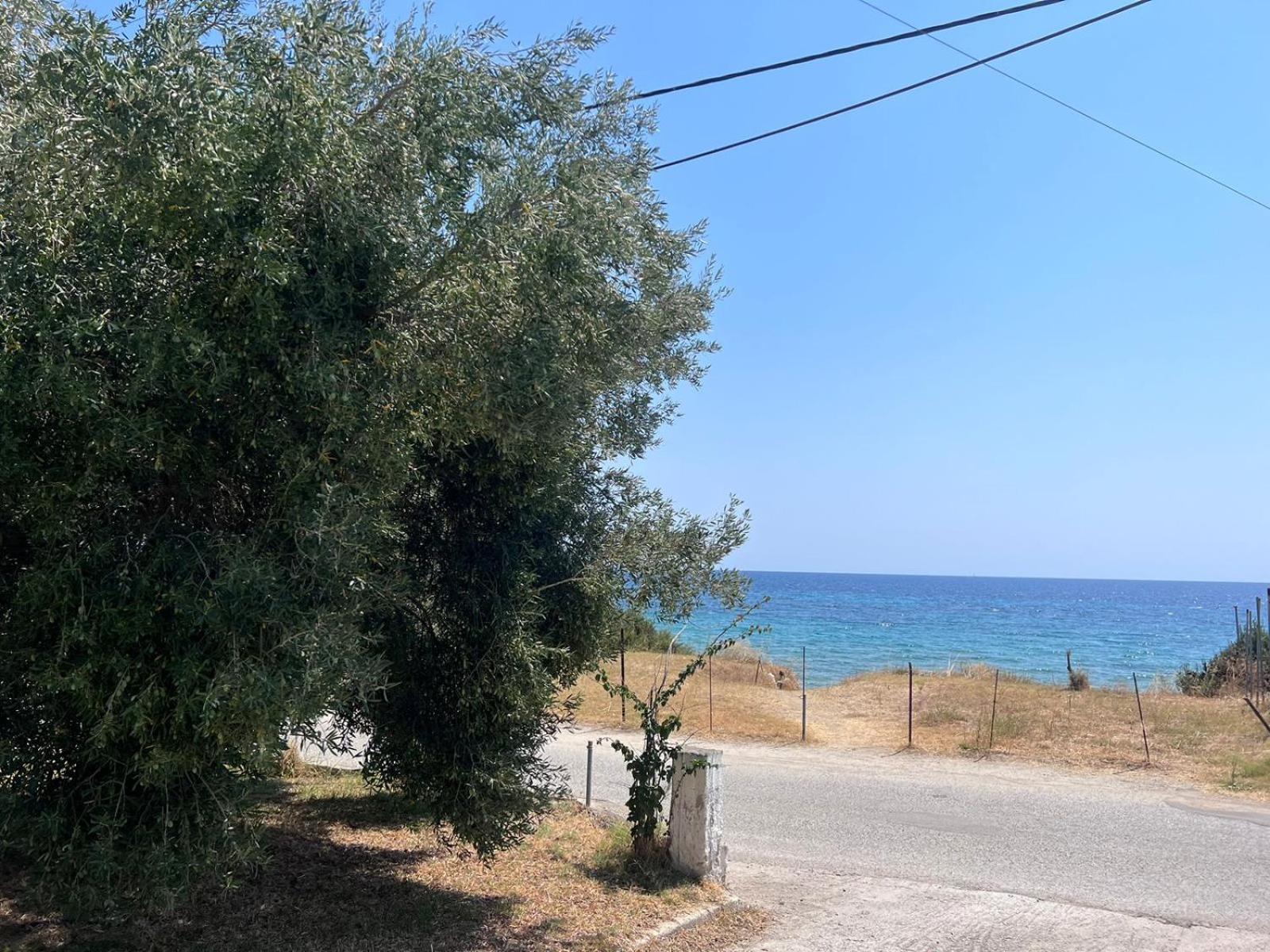 Stavros Apartments Νέα Σκιώνη Εξωτερικό φωτογραφία